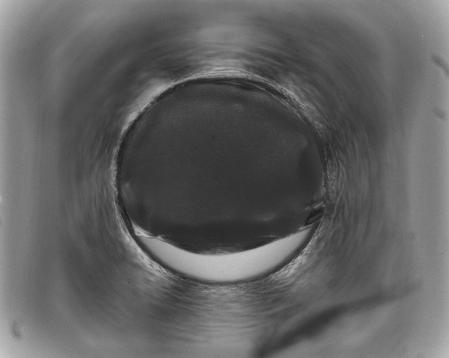 X0000098031422200804071406