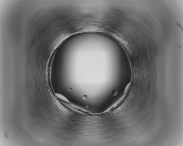 X0000098031423200804071407