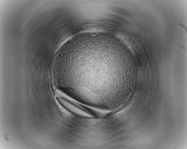 X0000098031425200804071407