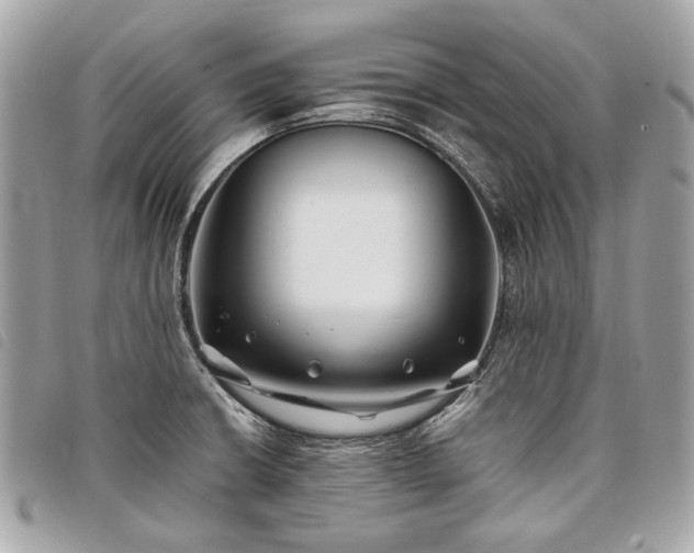 X0000098031426200804071407