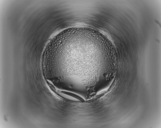 X0000098031429200804071407