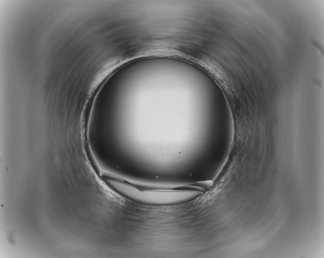 X0000098031430200804071407