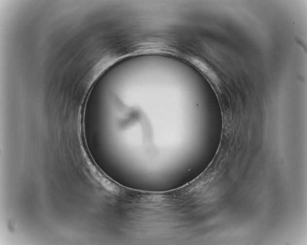 X0000098031431200804071407