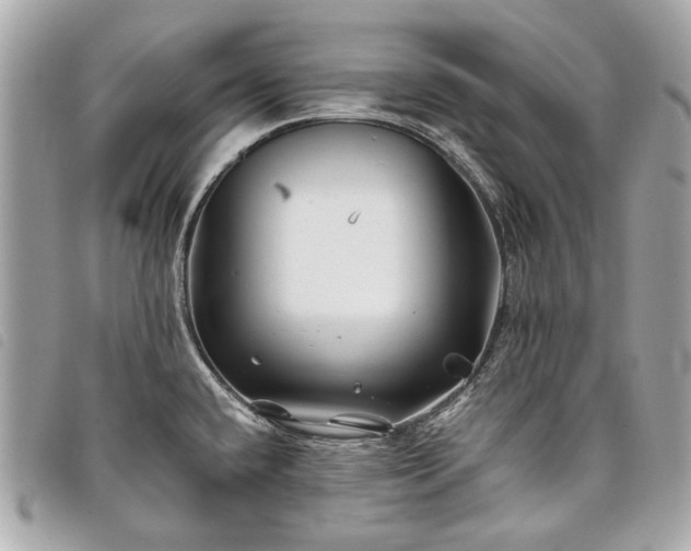 X0000098031432200804071407