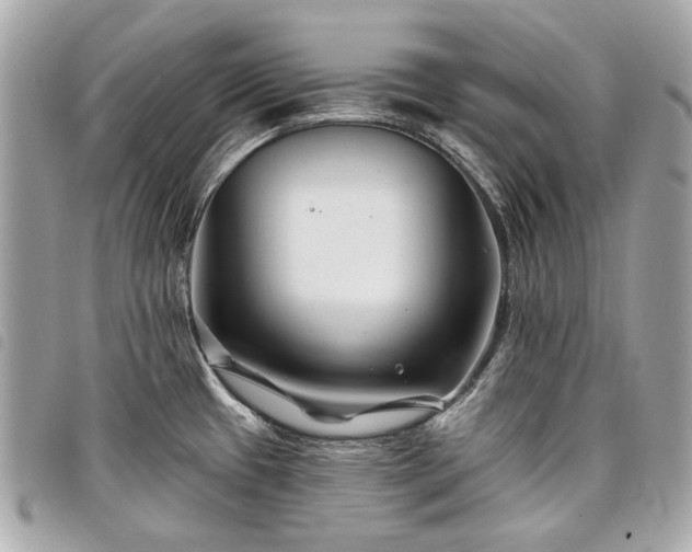 X0000098031433200804071407