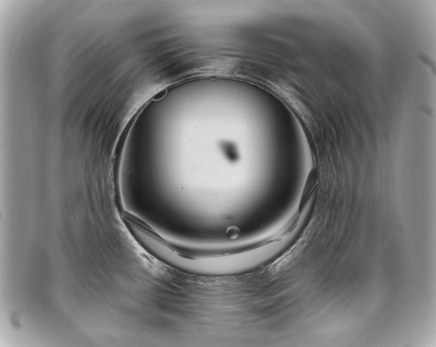 X0000098031434200804071407