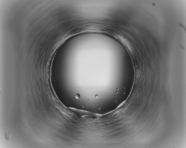 X0000098031435200804071407