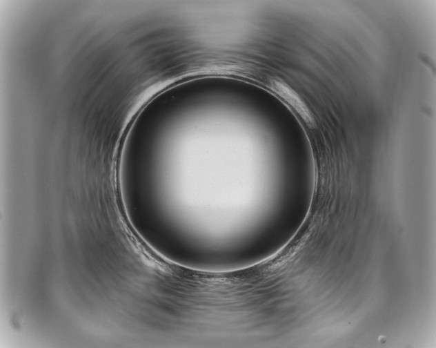 X0000098031436200804071407