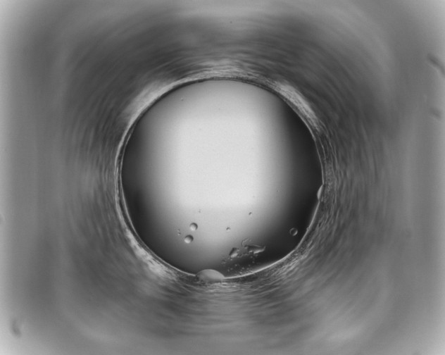 X0000098031439200804071407