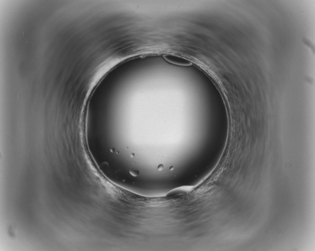 X0000098031440200804071407