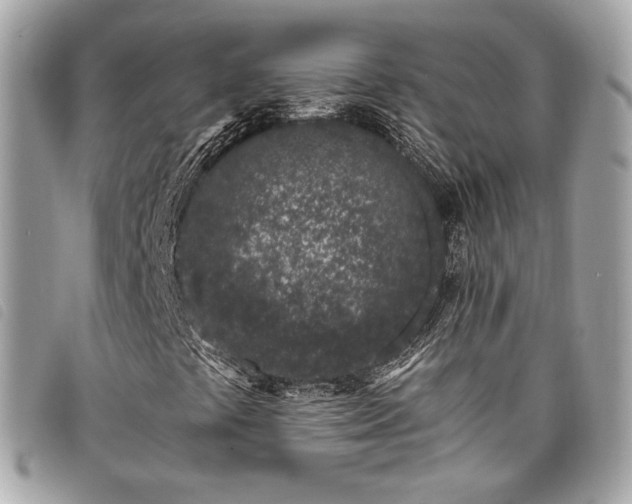 X0000098031441200804071406