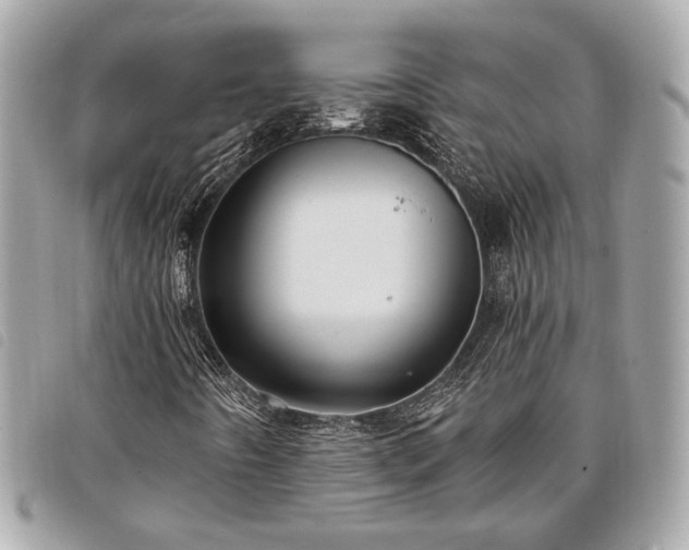 X0000098031442200804071406