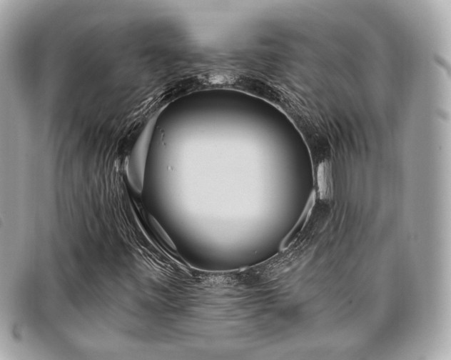 X0000098031443200804071406