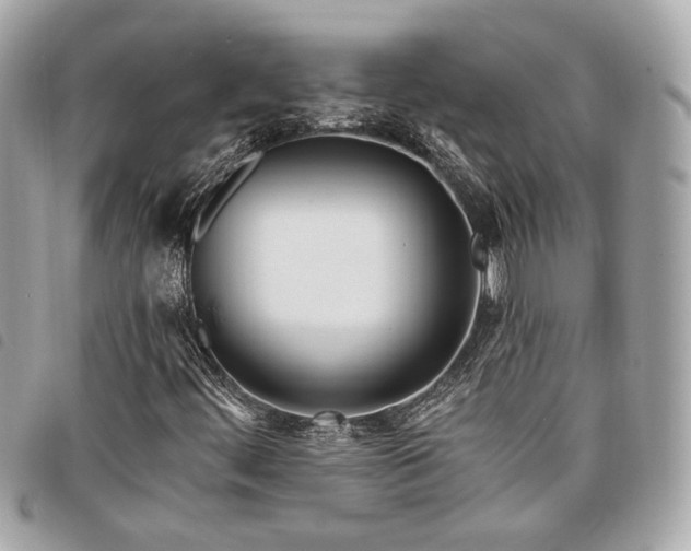 X0000098031444200804071406