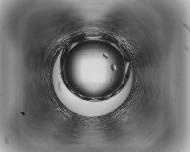 X0000098031445200804071406