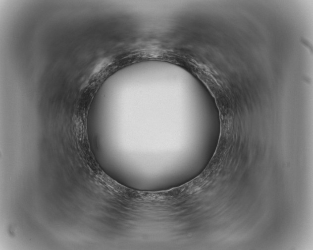 X0000098031446200804071406