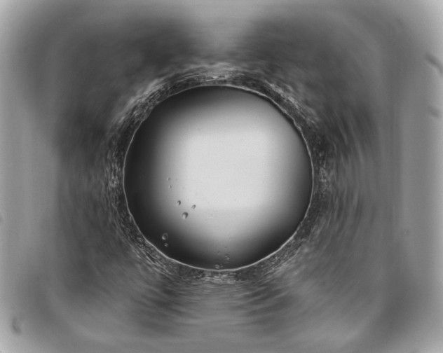 X0000098031447200804071406