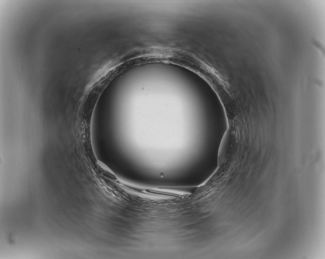 X0000098031448200804071406