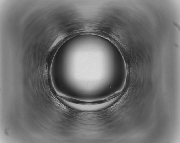 X0000098031450200804071406