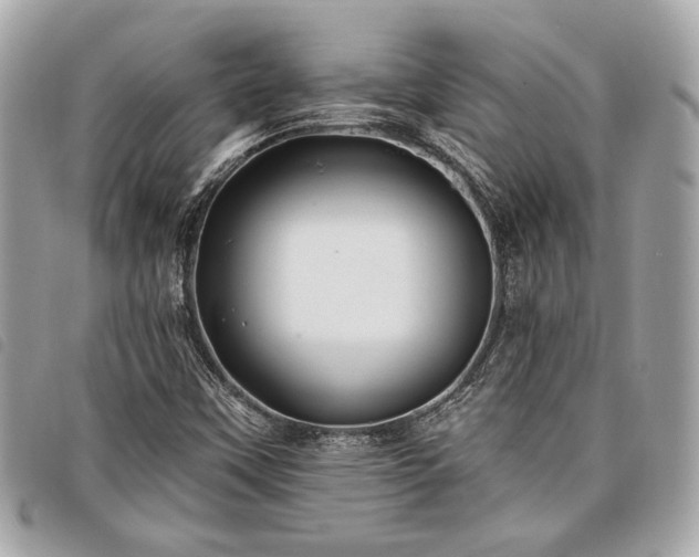 X0000098031451200804071406