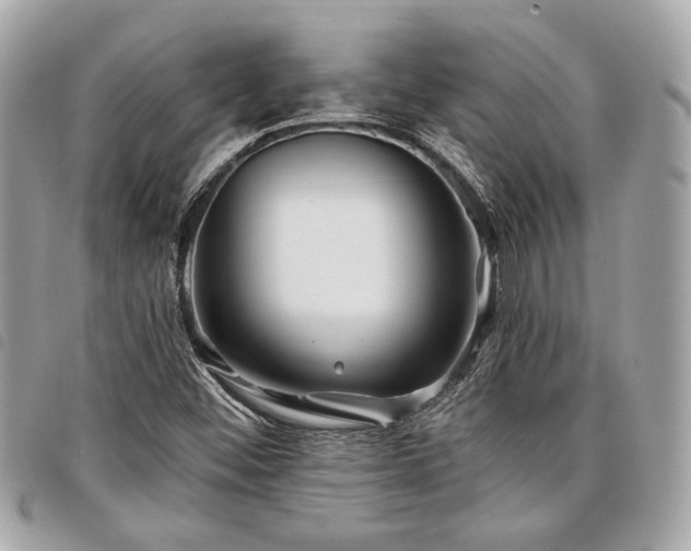 X0000098031452200804071406