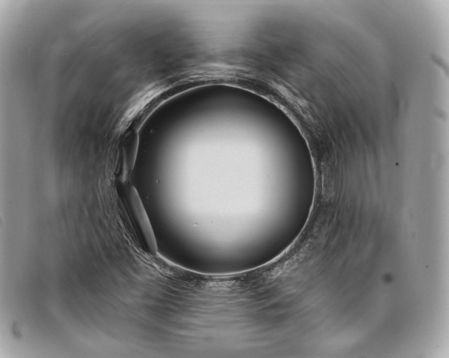 X0000098031453200804071406