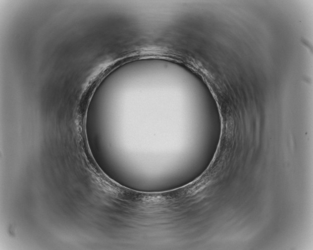 X0000098031454200804071406