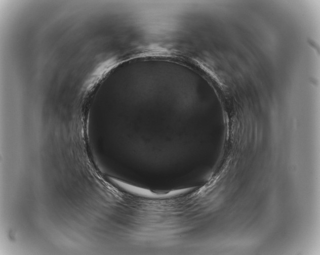 X0000098031455200804071406