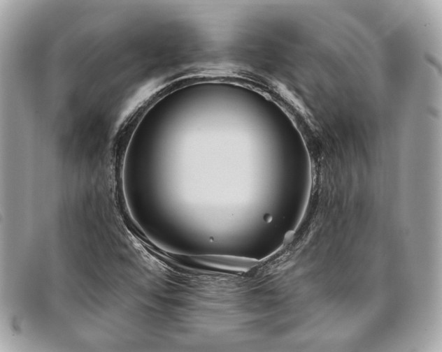 X0000098031456200804071406