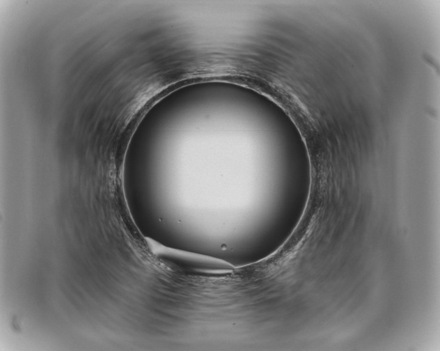 X0000098031457200804071406