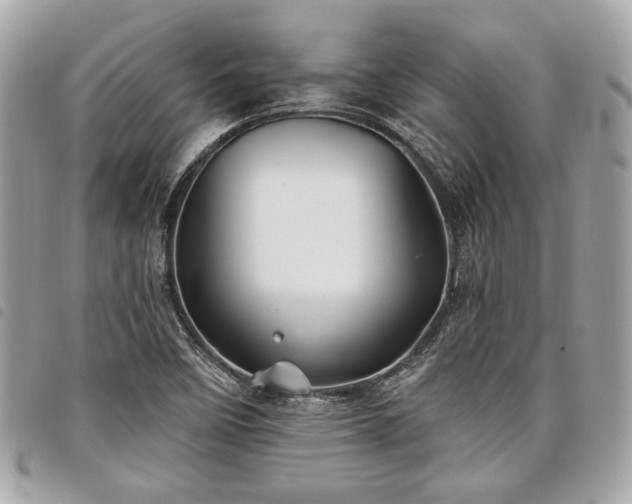 X0000098031458200804071406