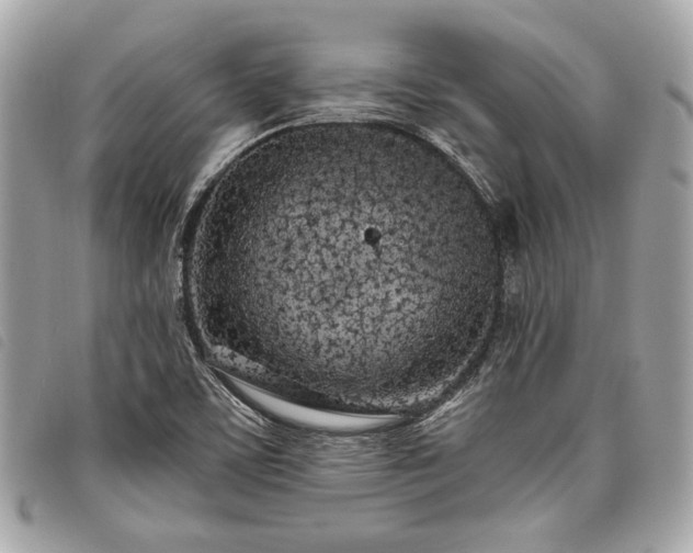 X0000098031459200804071406