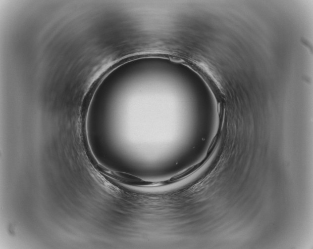 X0000098031460200804071406