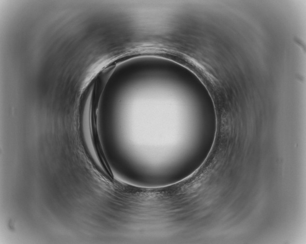 X0000098031461200804071406