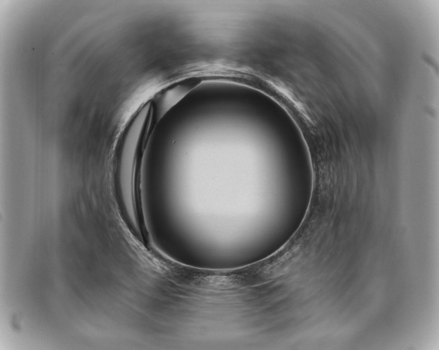 X0000098031463200804071406