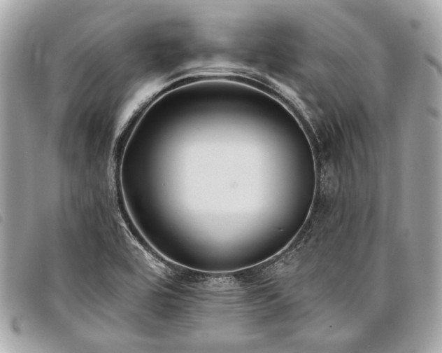 X0000098031464200804071406