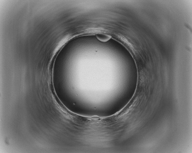 X0000098031467200804071406