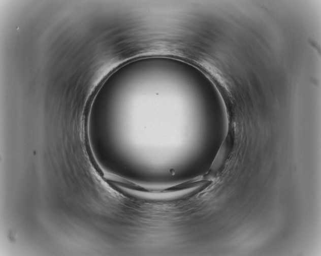 X0000098031468200804071406