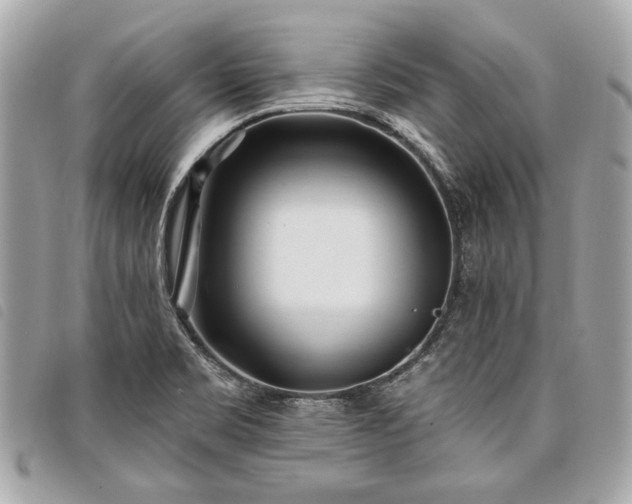 X0000098031469200804071406