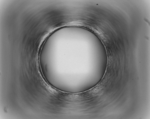 X0000098031470200804071406