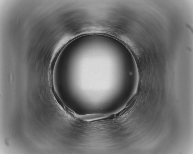 X0000098031472200804071406