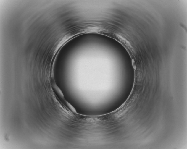 X0000098031473200804071406