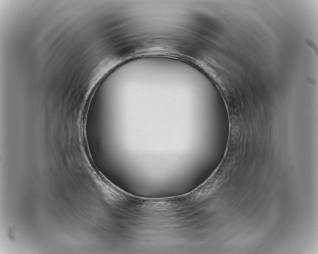 X0000098031474200804071406