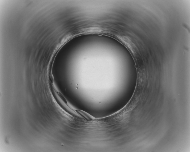 X0000098031475200804071406