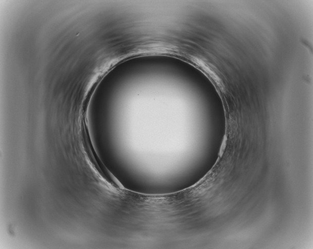 X0000098031477200804071406