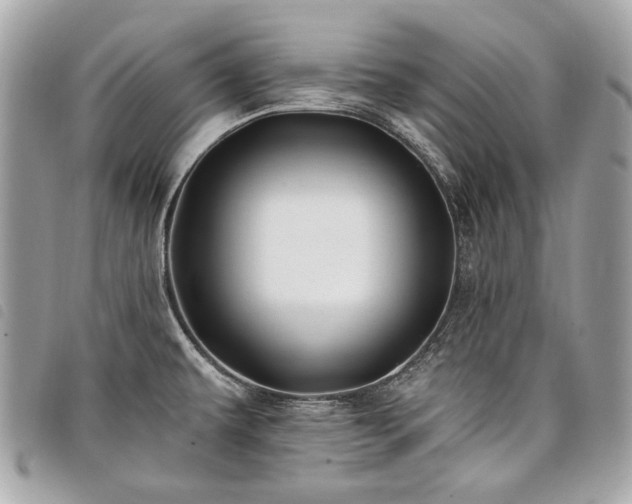 X0000098031479200804071406