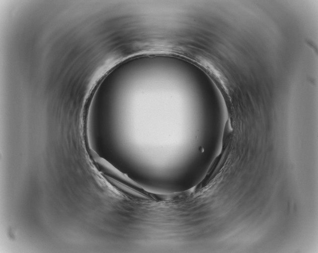 X0000098031480200804071406