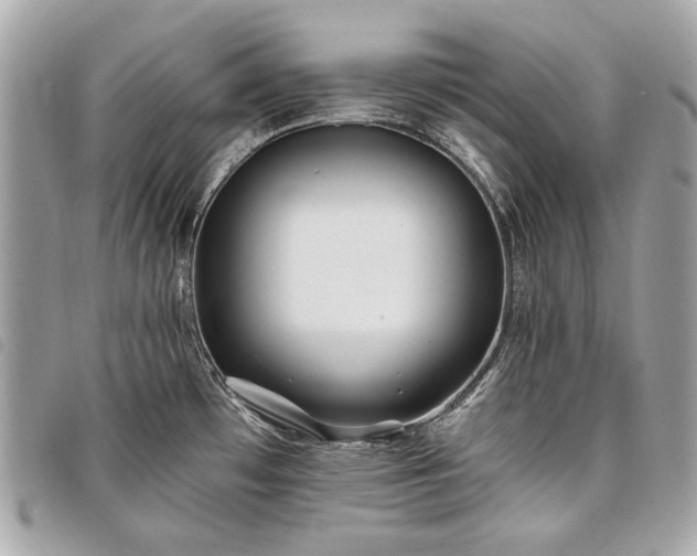 X0000098031481200804071406