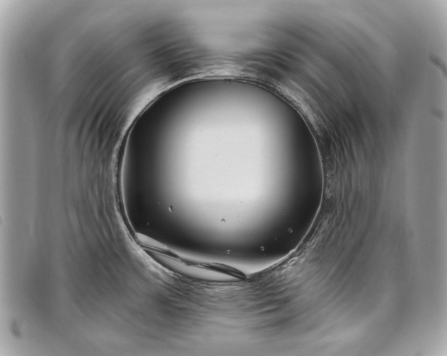 X0000098031483200804071405