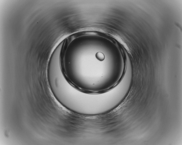 X0000098031484200804071405